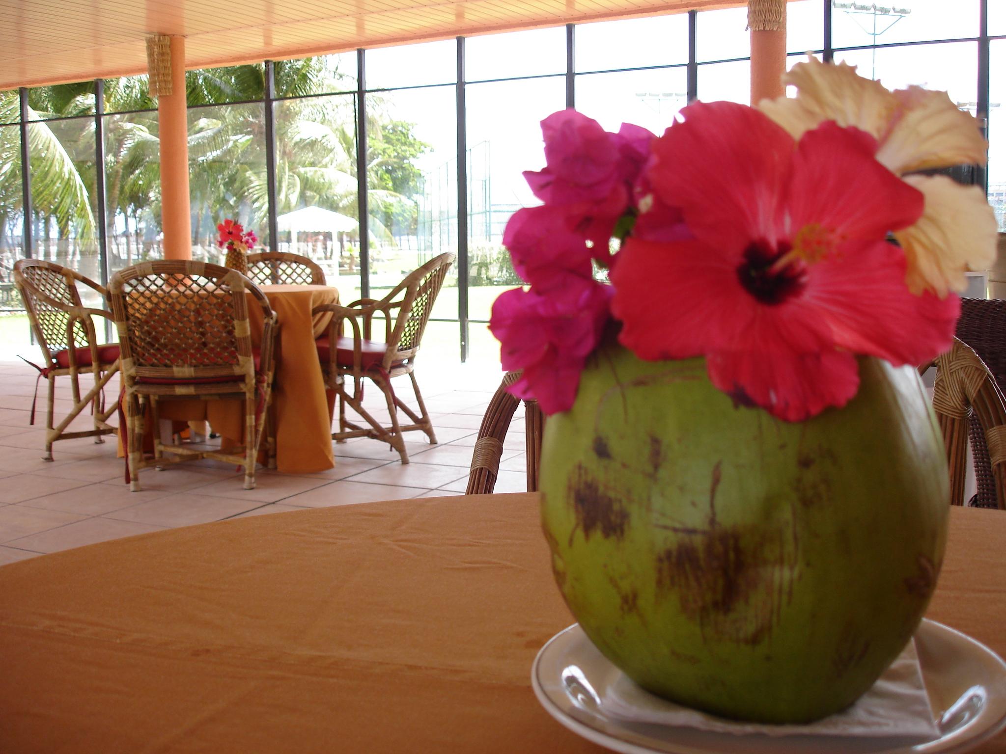 פורטאלזה Marina Park Hotel מראה חיצוני תמונה A coconut flower